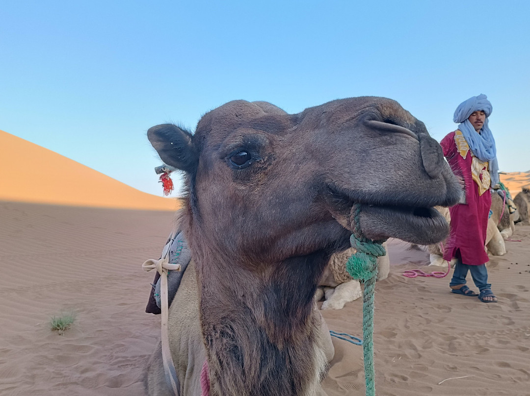 Morocco Life Tours-非斯必去景点