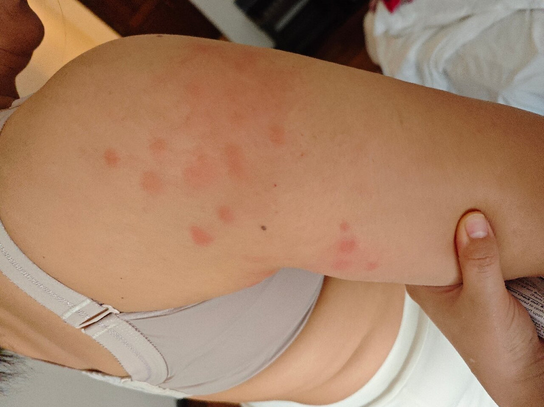 热浪岛拉古娜度假村主图