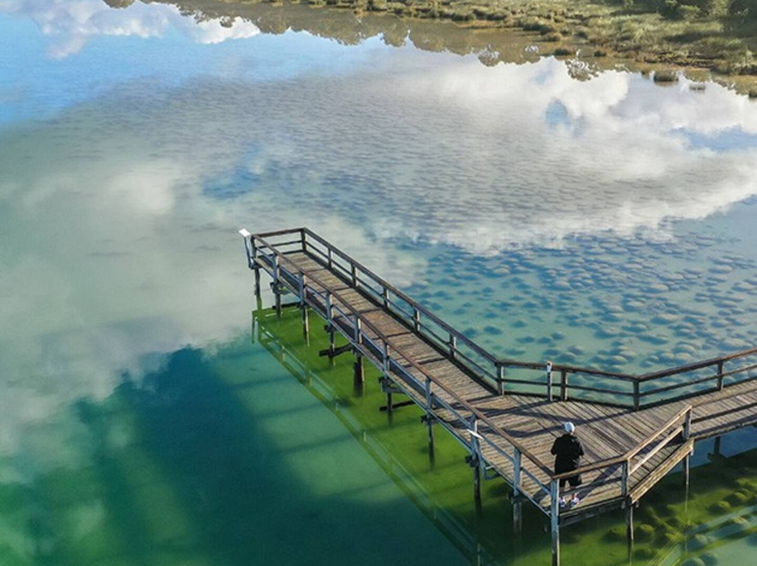 Thrombolites of Lake Clifton-Yalgorup National Park必去景点