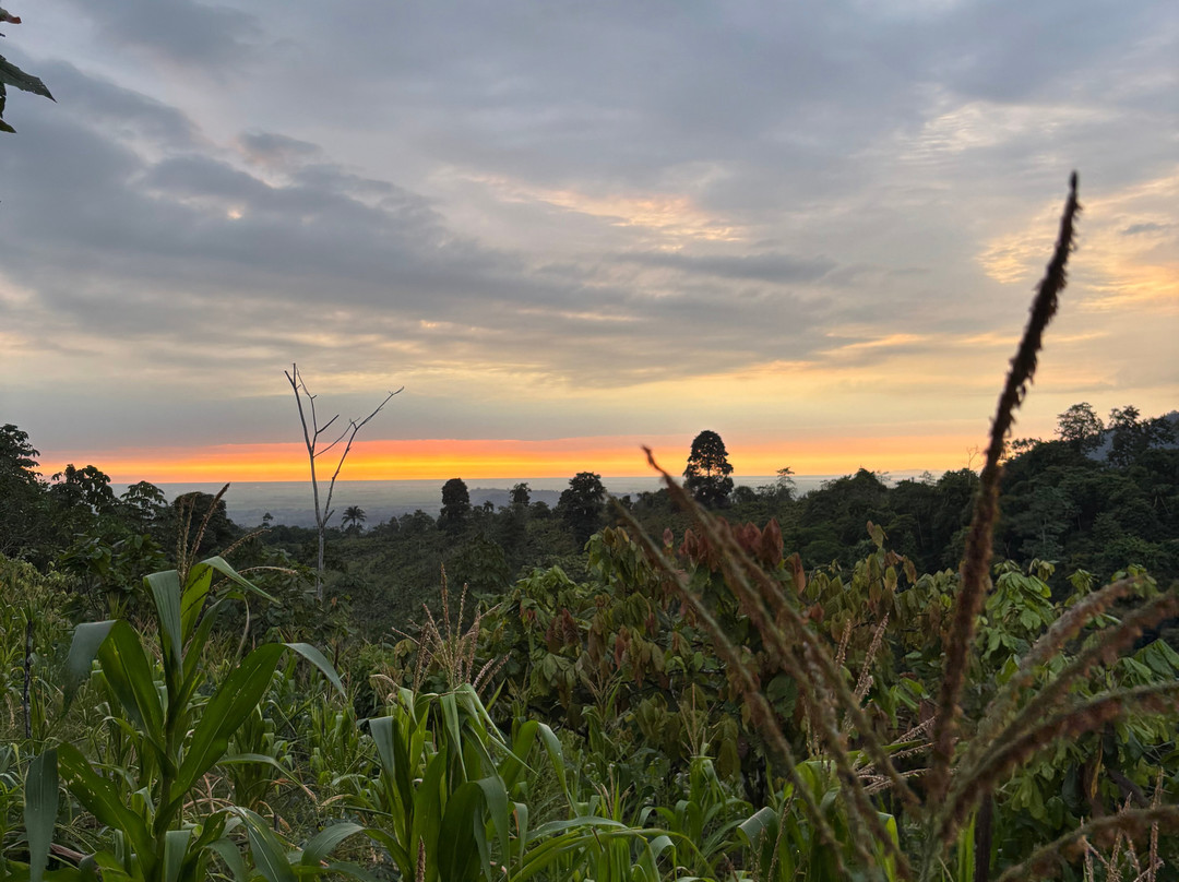 Finca Sanmartin-Pasaje必去景点