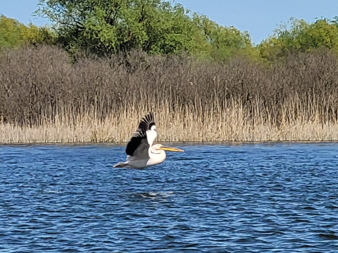 Vila Delta Travel - Mila 23主图