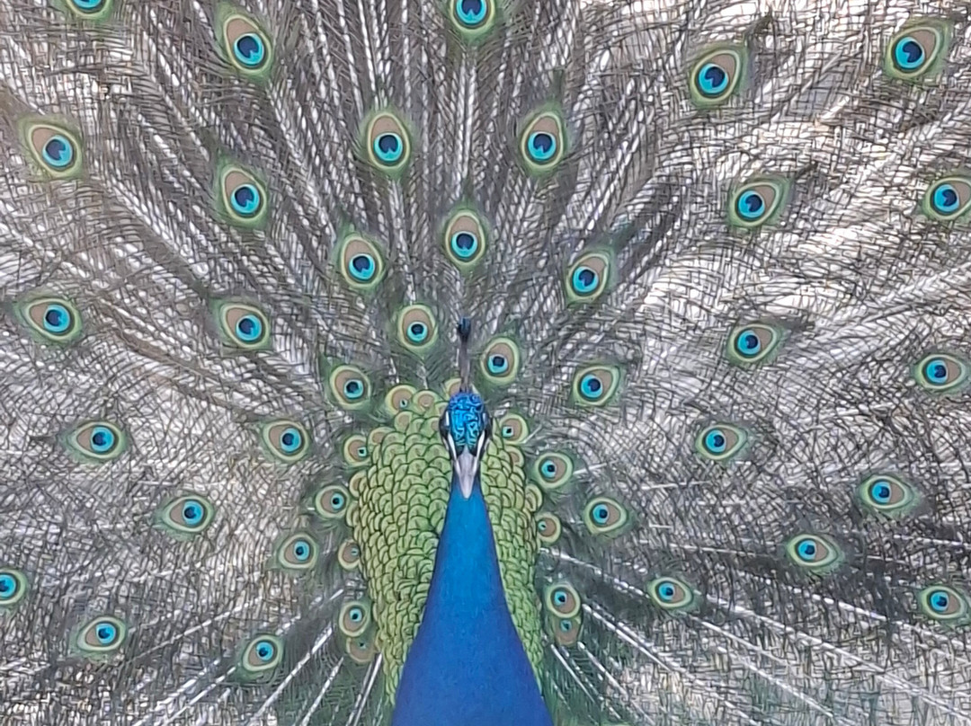 Zoo Duisburg-杜伊斯堡必去景点