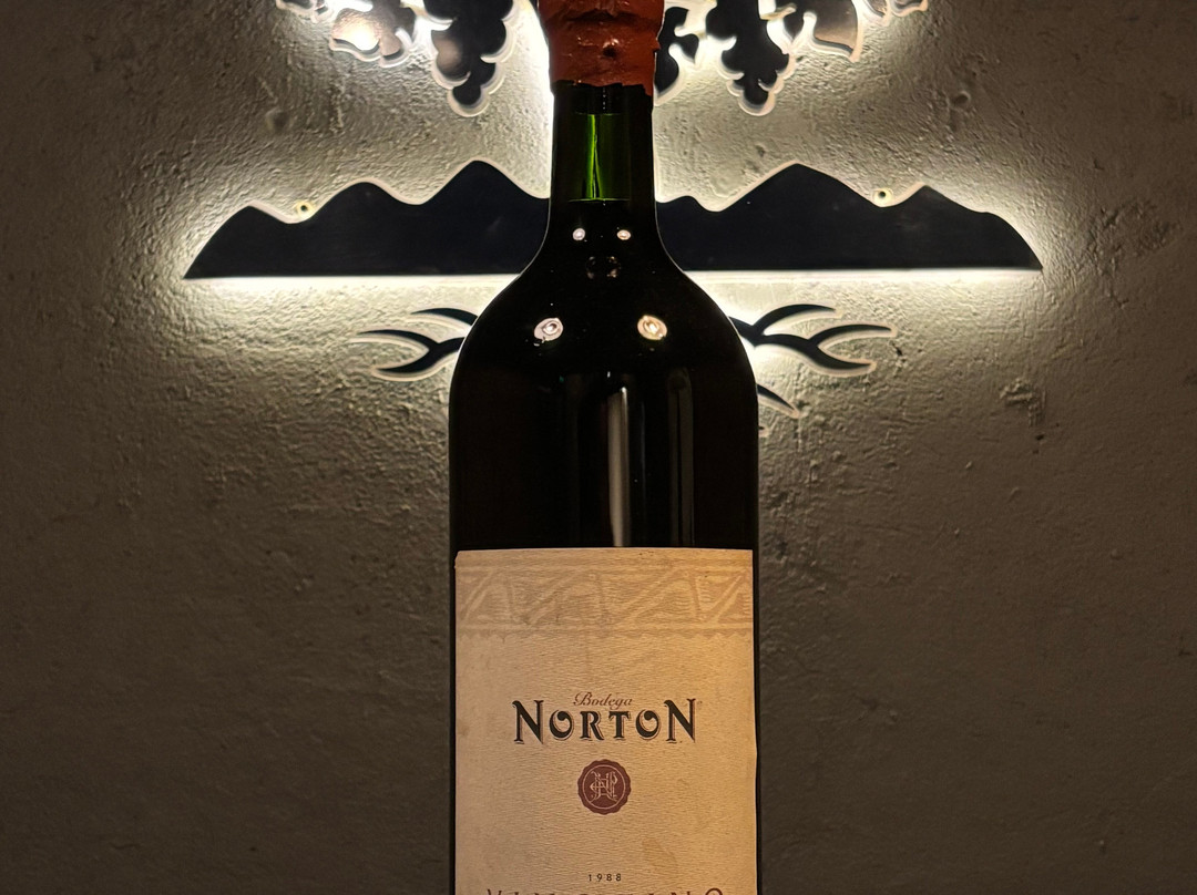 Bodega Norton-路冉得库约必去景点