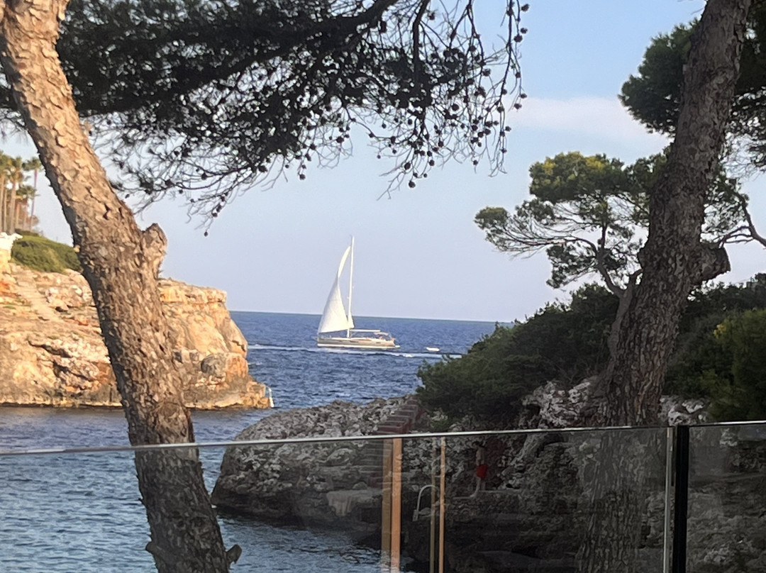 AluaSoul Mallorca Resort - Adults Only主图