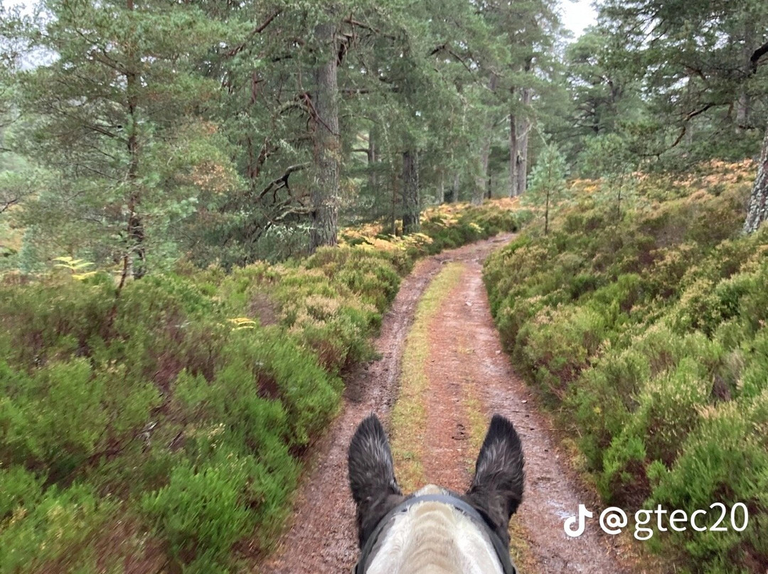Derbyshire Pony Trekking-Mansfield必去景点