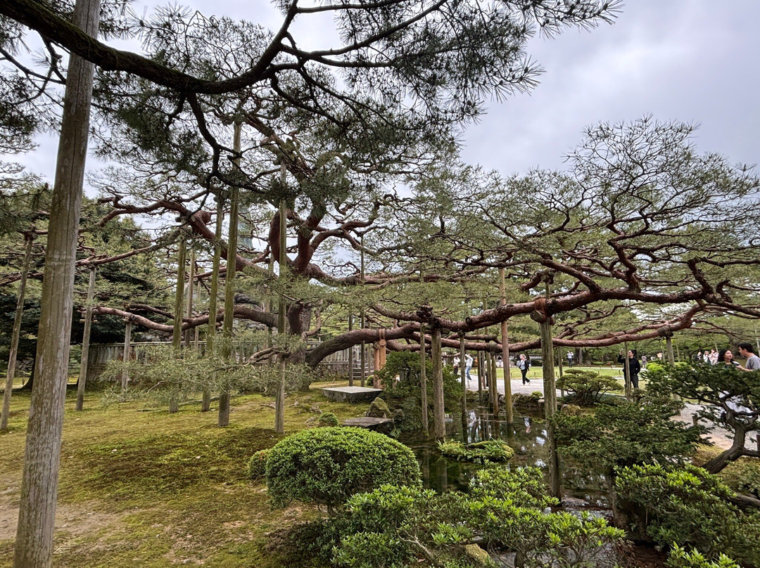 兼六园-金泽市必去景点