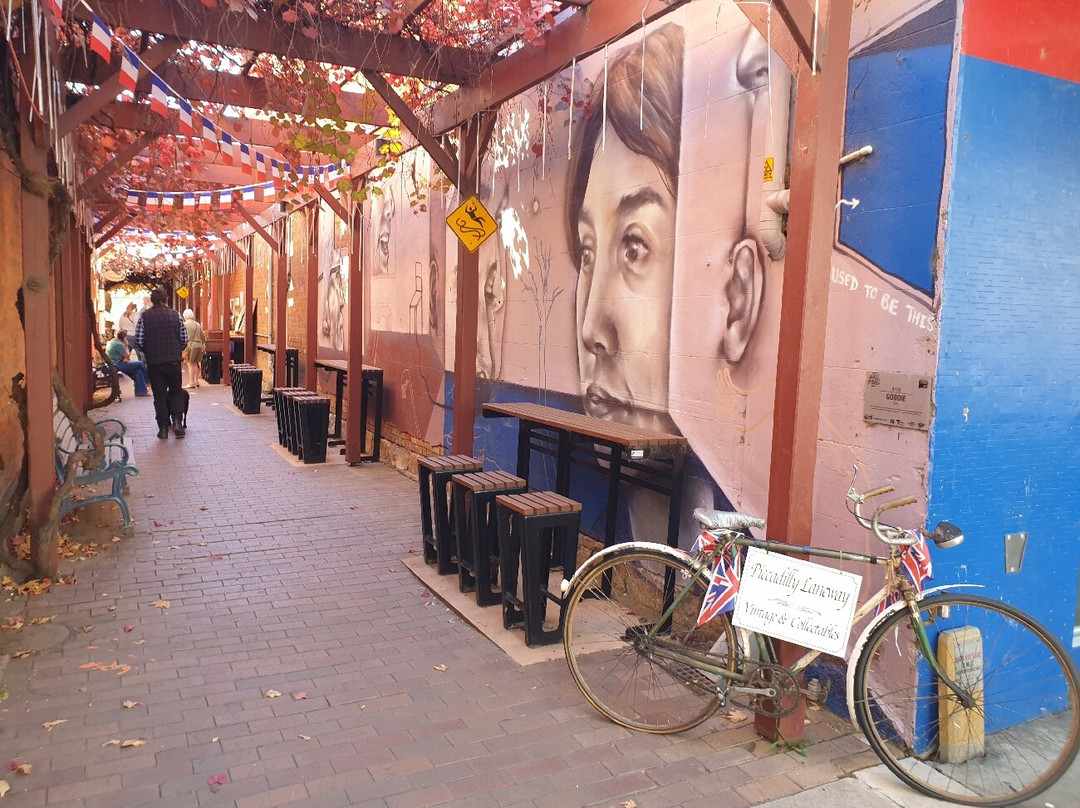 Benalla Street Art