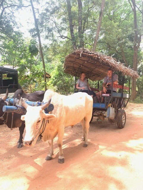 Sri Lankan Personal Drivers-科伦坡必去景点