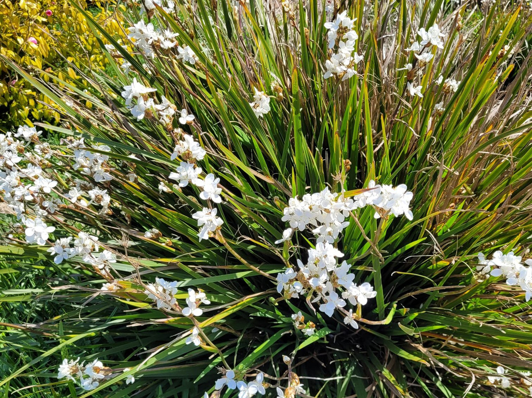 Fast Rabbit Farm Gardens-达特茅斯必去景点