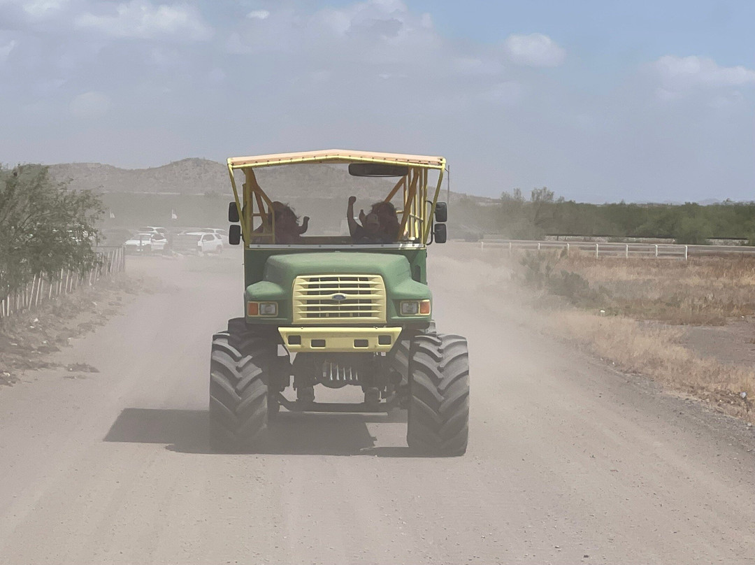 Rooster Cogburn Ostrich Ranch-Picacho必去景点