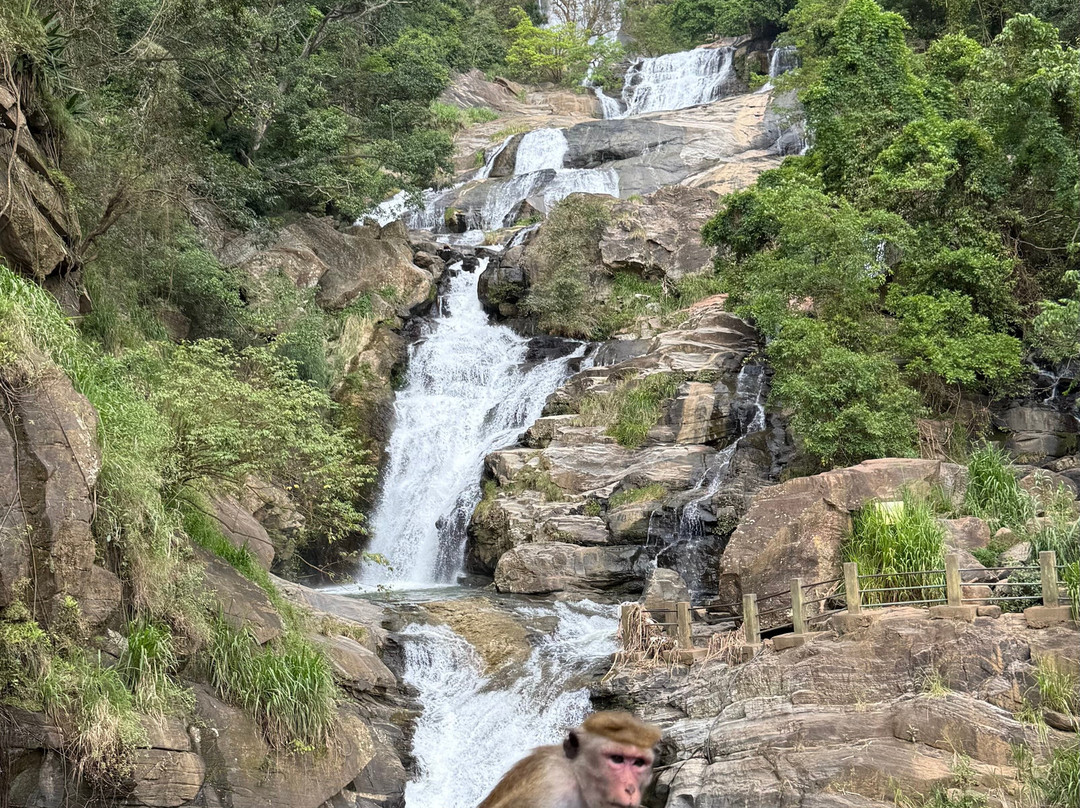 Simply Ceylon Tours-康提必去景点