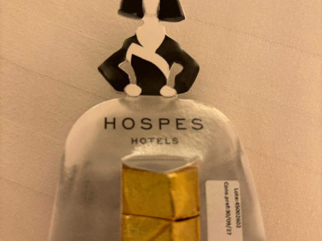 Hospes Amérigo, 阿利坎特, 设计酒店的一员主图