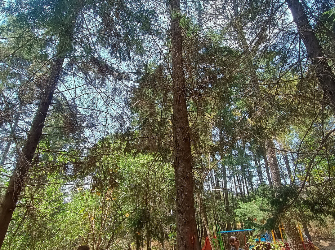 Nepopualco Parque de los Venados-Cuautla必去景点