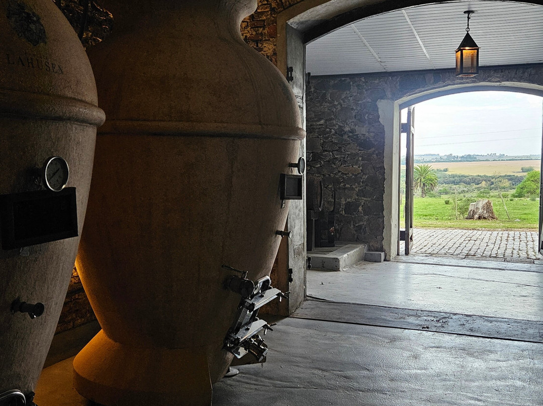 Bodega Los Cerros De San Juan-科洛尼亚·德尔萨克拉门托城必去景点