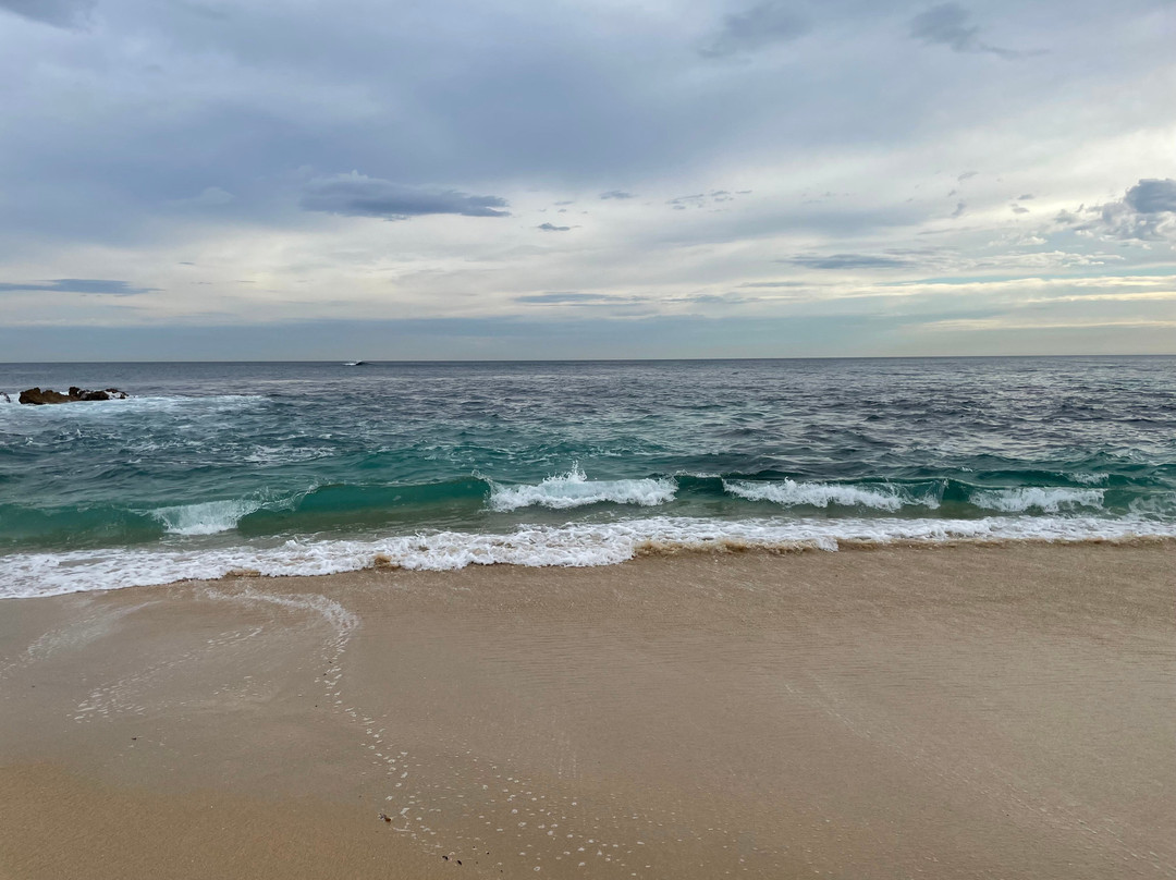 Koonya Beach-Blairgowrie必去景点