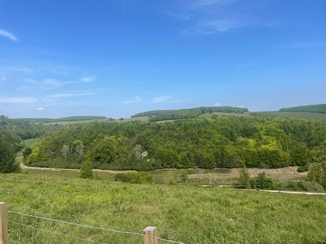 Swanbourne Lake-阿伦德尔必去景点
