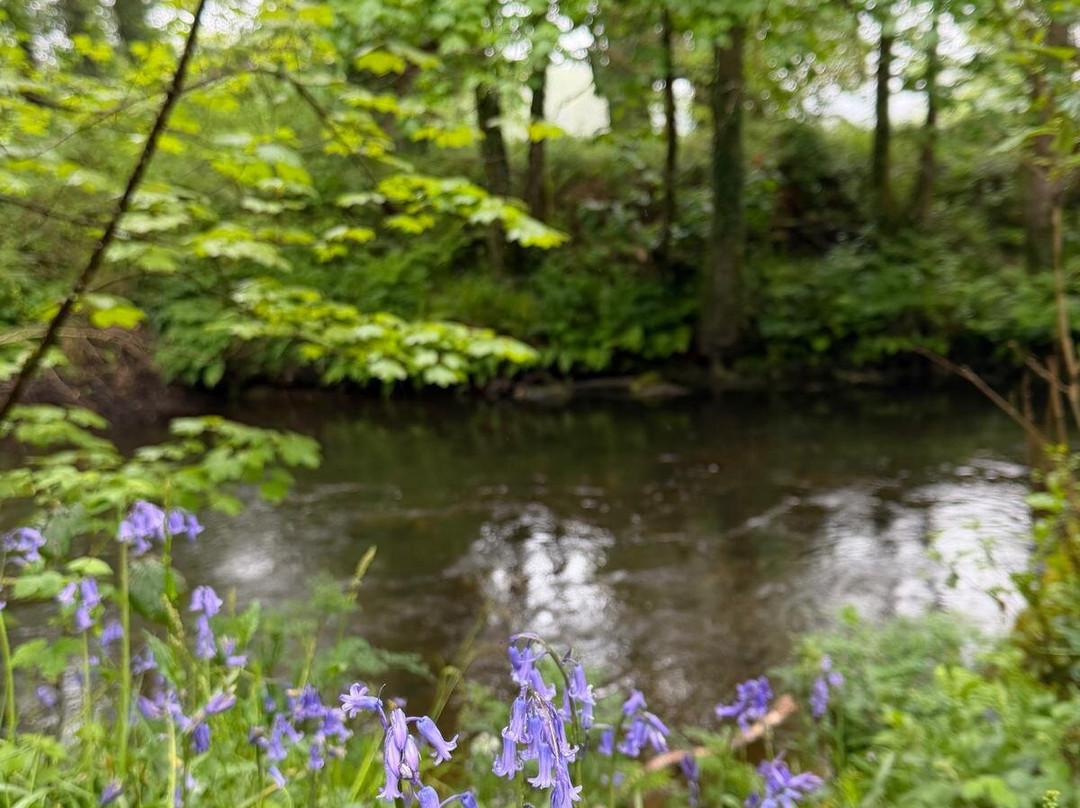 Lanhydrock and Respryn Circular Walk-博德明必去景点