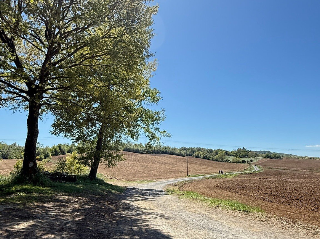 Terre di Mezzo Viaggi a Passo d'Uomo-Montella必去景点