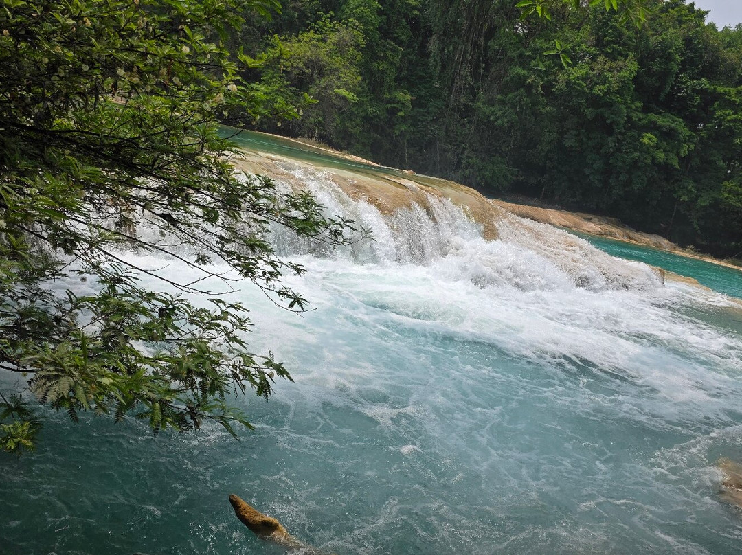 Cascadas de Agua Azul-帕伦克必去景点