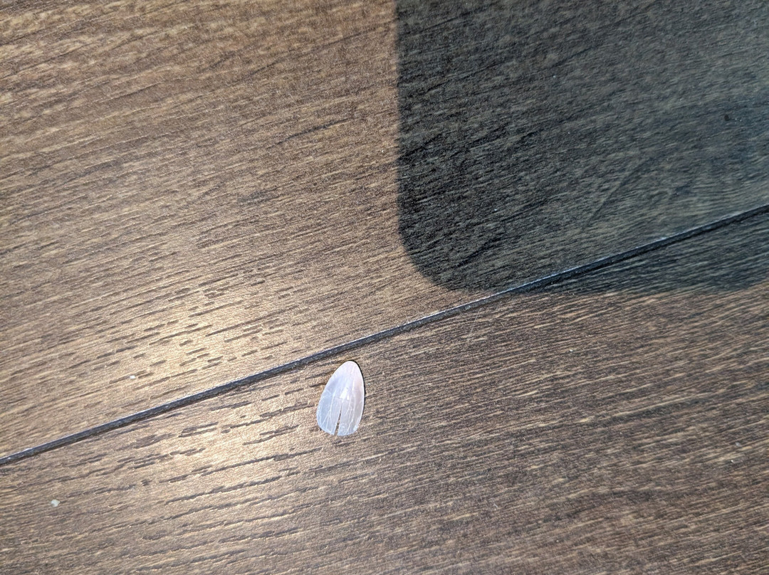 克鲁斯山顶酒店主图