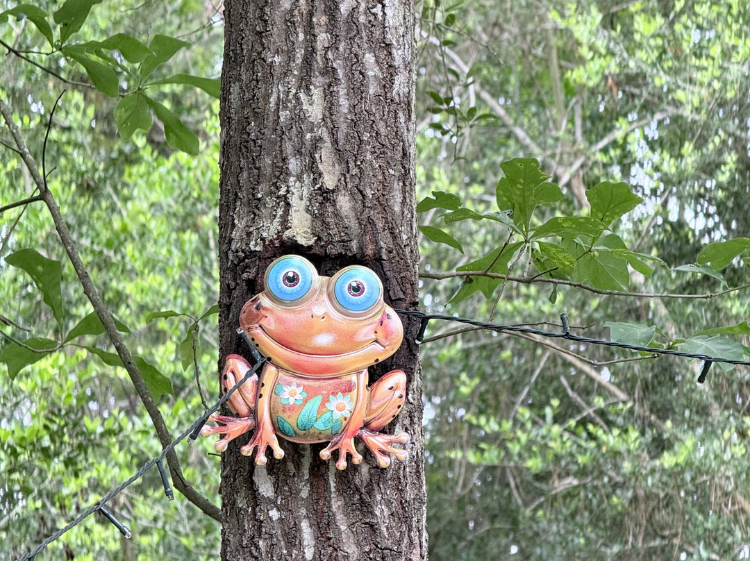 Sam Houston Jones State Park-莱克查尔斯必去景点