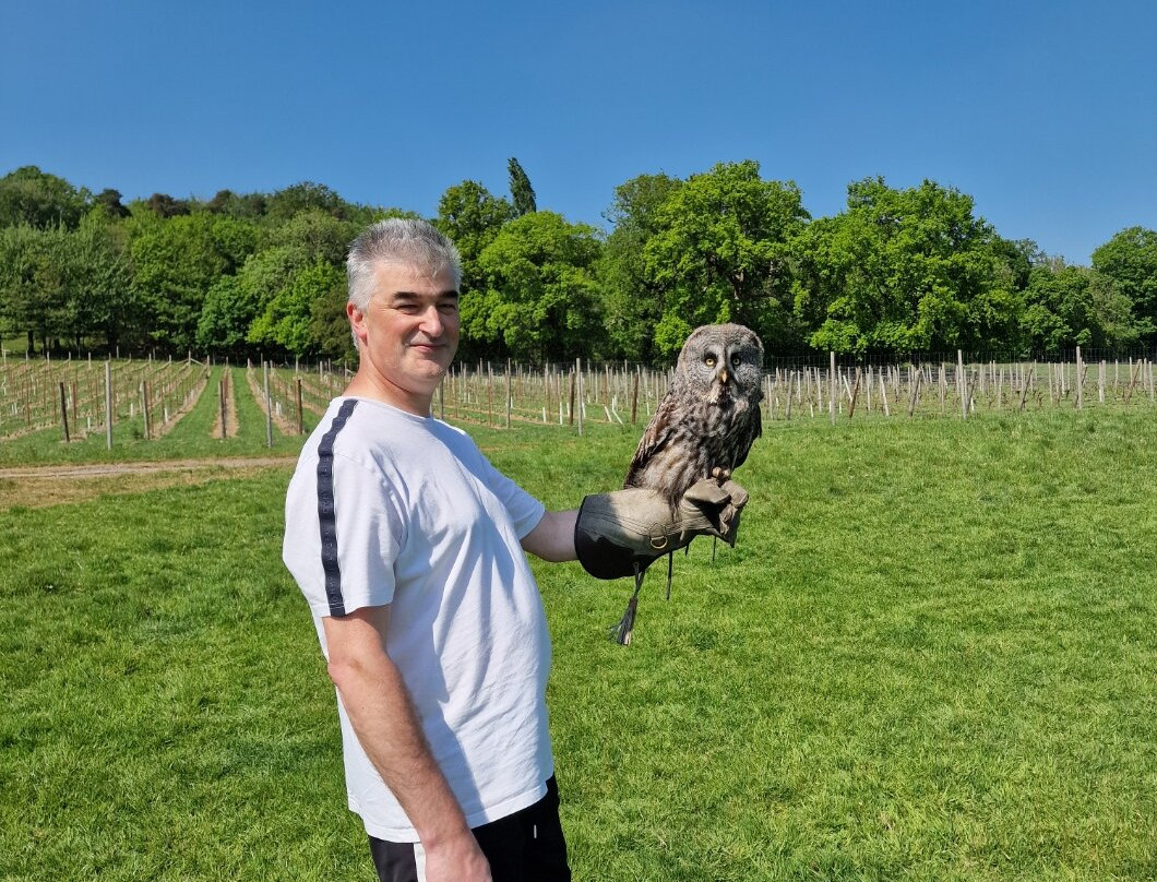 UK Owl And Raptor Centre-Groombridge必去景点
