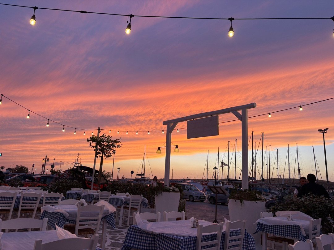 Dari Dari Taverna