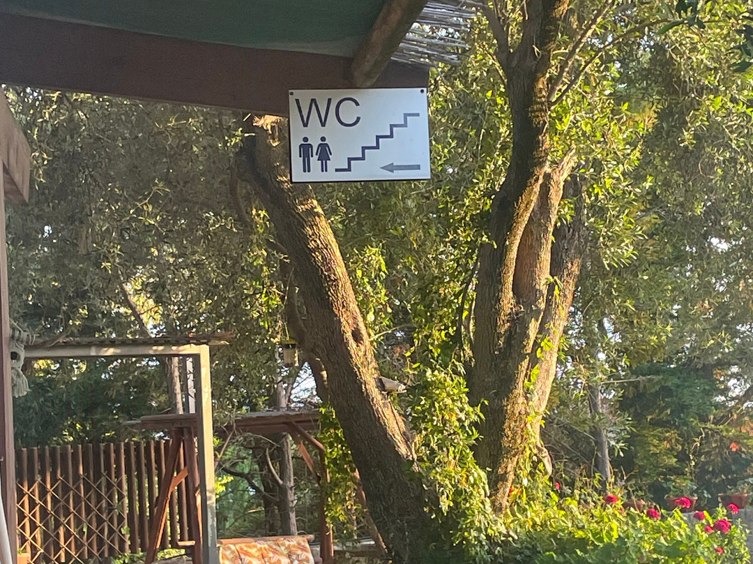 Vyzantio Apartments主图