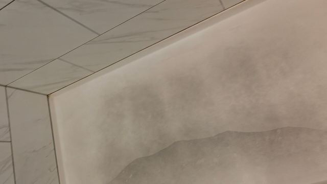 密苏里圣路易斯机场希尔顿逸林酒店-旅行者