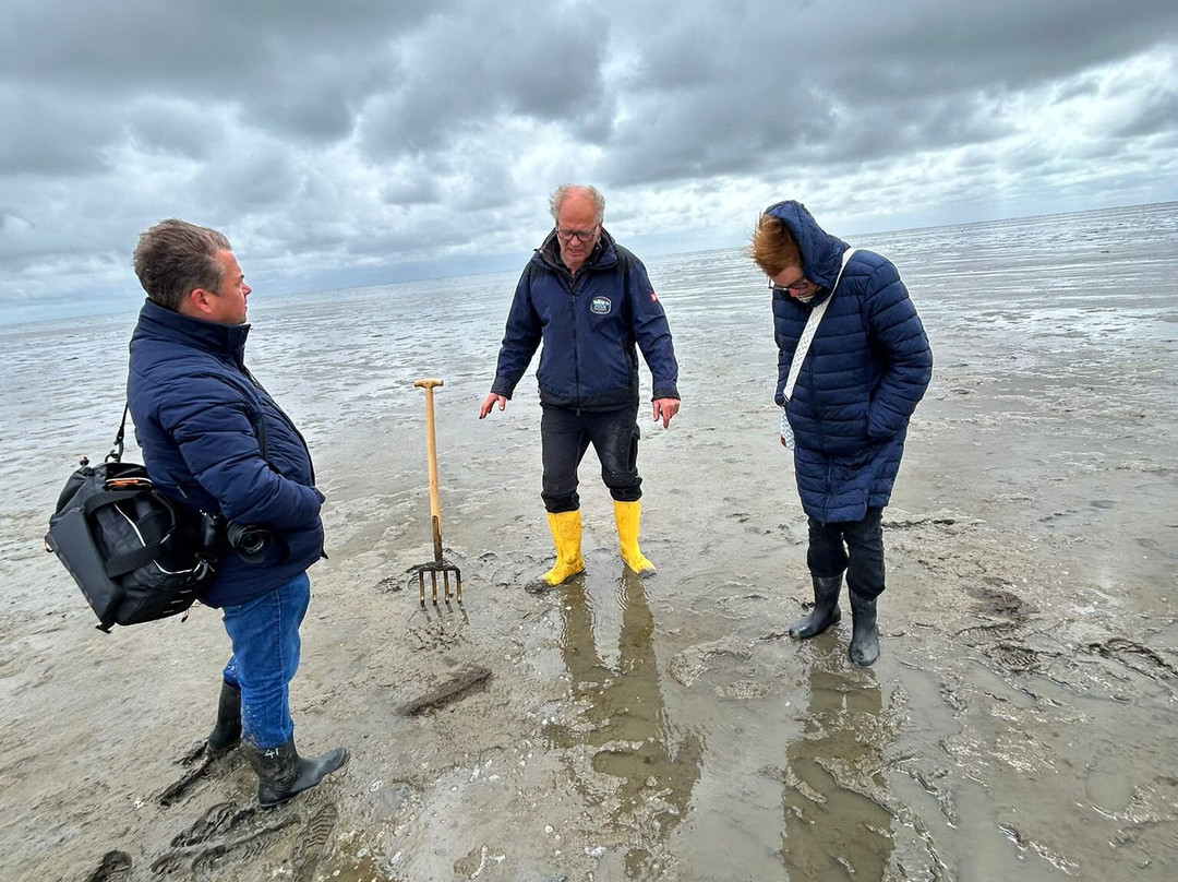 Puur Terschelling-Terschelling必去景点