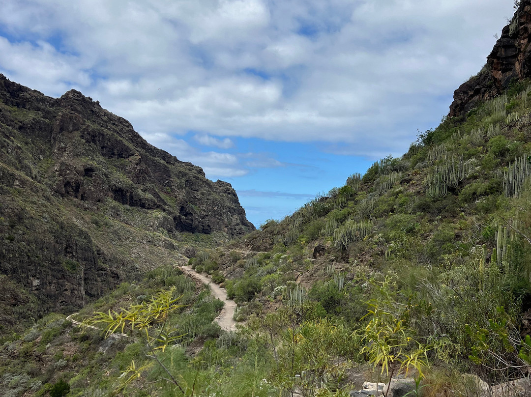 Barranco Del Infierno-奥德杰海岸必去景点