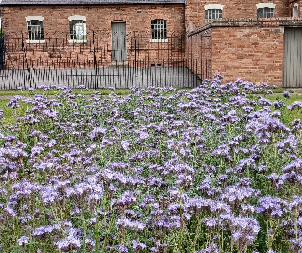 The Workhouse, Southwell-Southwell必去景点