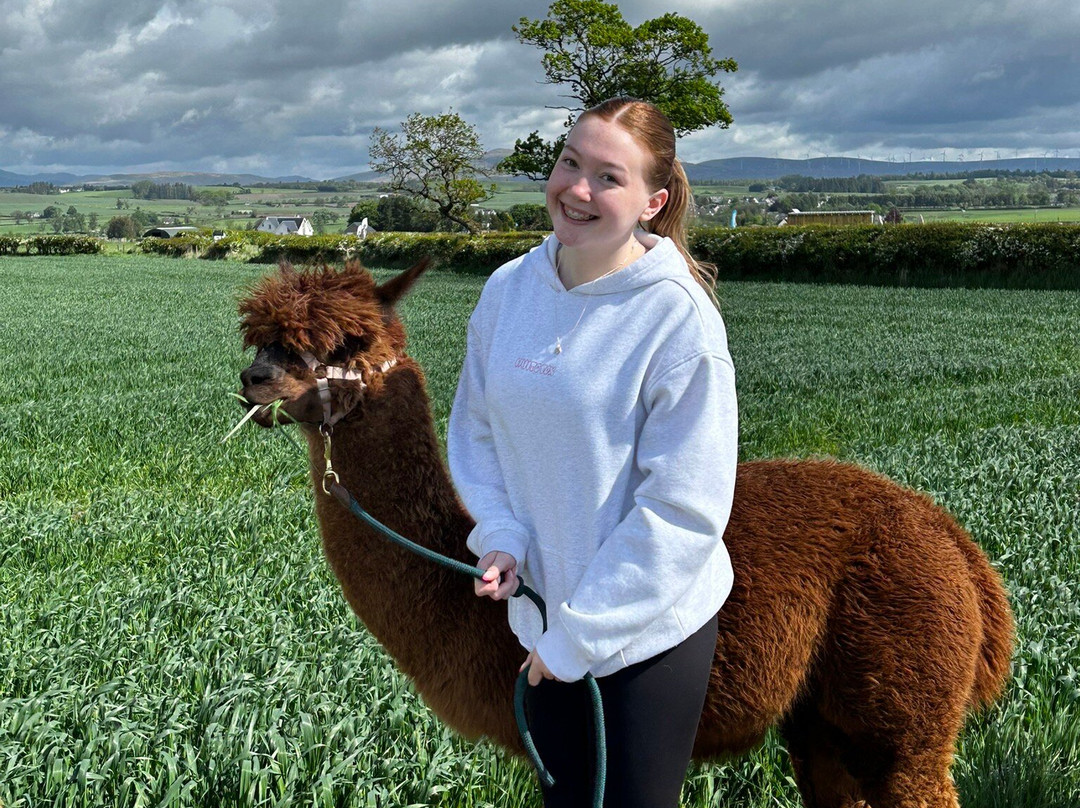 The Alpaca Trekking Centre-斯特灵必去景点
