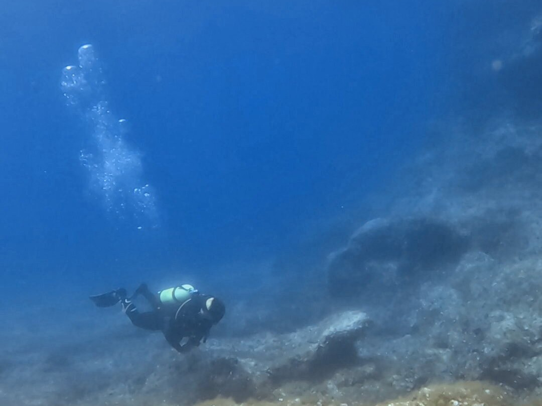 New Dimension Scuba-圣保罗湾城必去景点