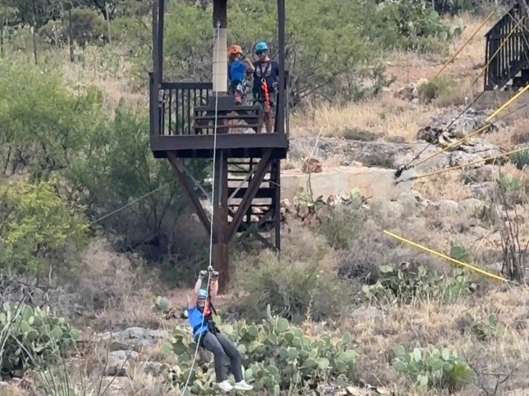 Arizona Zipline Adventures-Oracle必去景点