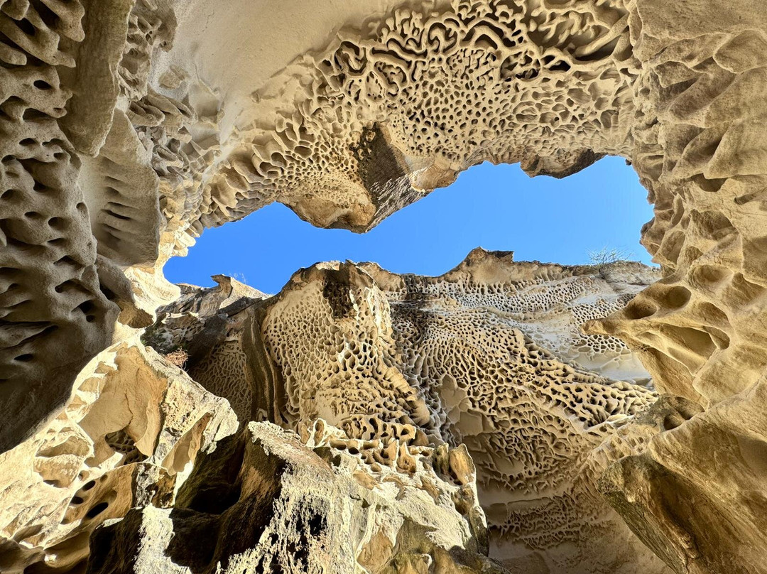 RedMaya Travel-Mangystau必去景点