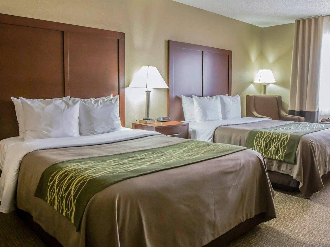 Braidwood酒店住宿-Comfort Inn Morris I-80