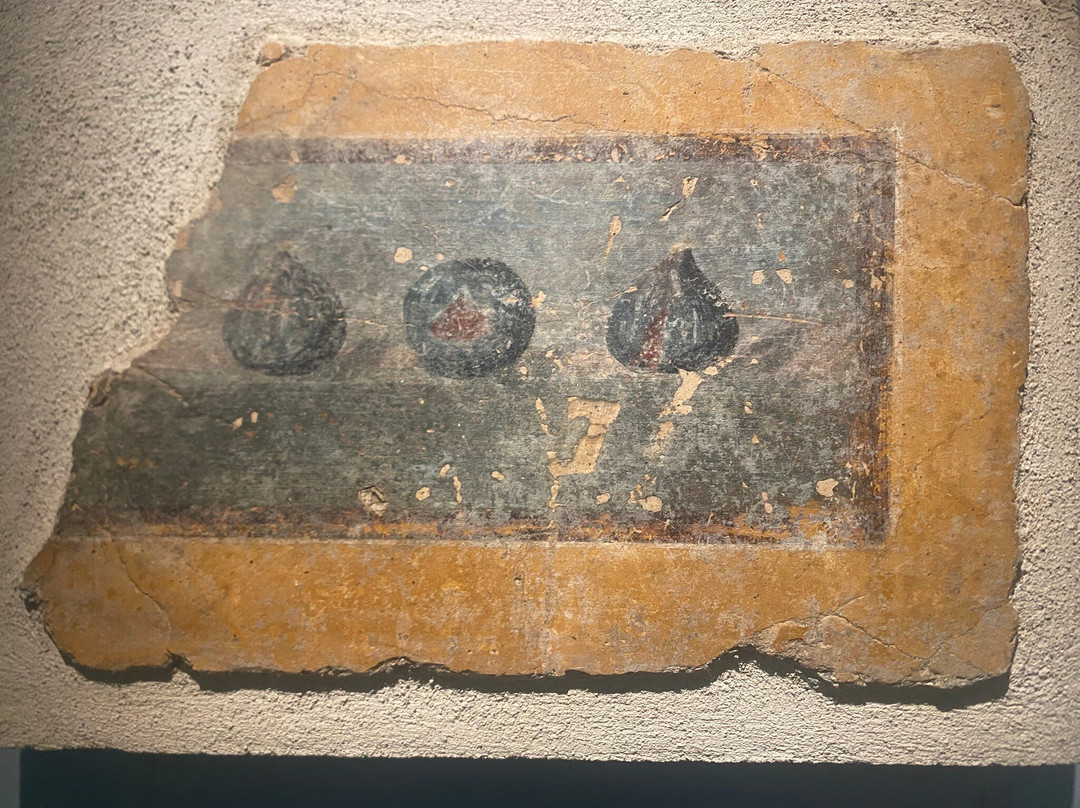 Museo archeologico di Stabiae "Libero D’Orsi"