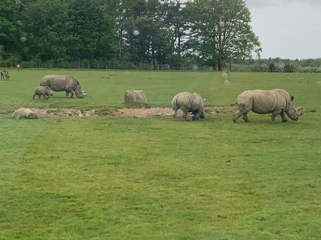 Knowsley Safari-Prescot必去景点