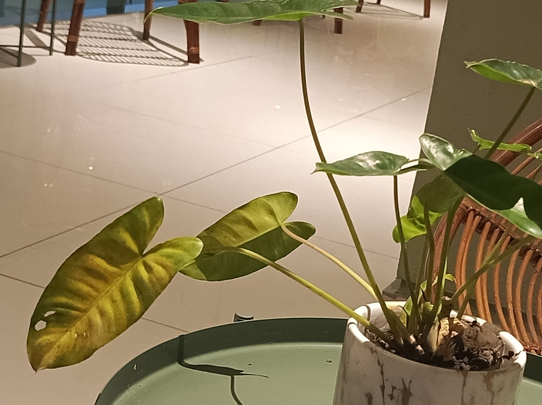 和谐酒店-1婆罗洲哥打京那巴鲁主图