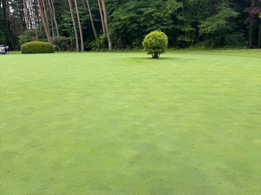 Kawaguchiko Country Club-富士河口湖町必去景点