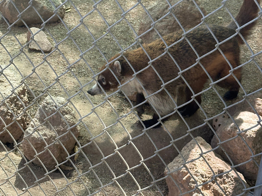 Southwest Wildlife Conservation Center-斯科茨代尔必去景点