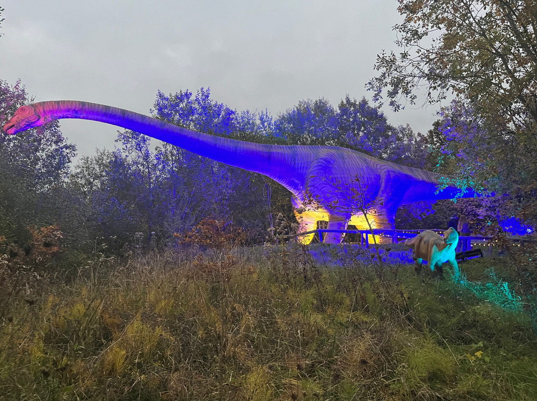 Dinosaurierpark Teufelsschlucht-Ernzen必去景点