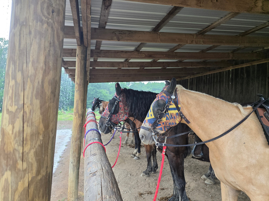 Uncle Buck's Riding Stable-New Marshfield必去景点
