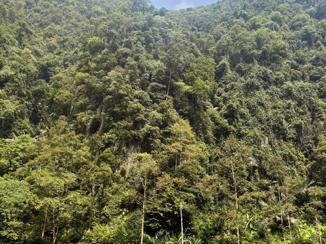 Tasik Cermin-怡保必去景点