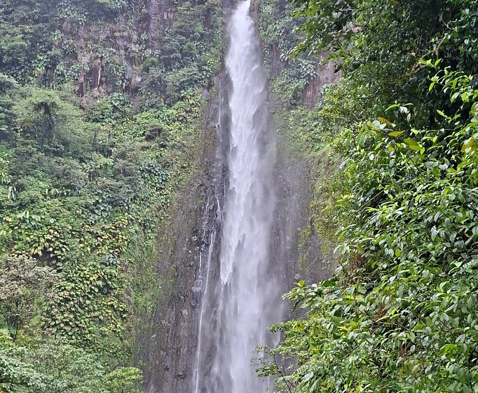 Carbet Falls (Les Chutes du Carbet)-Parc National必去景点