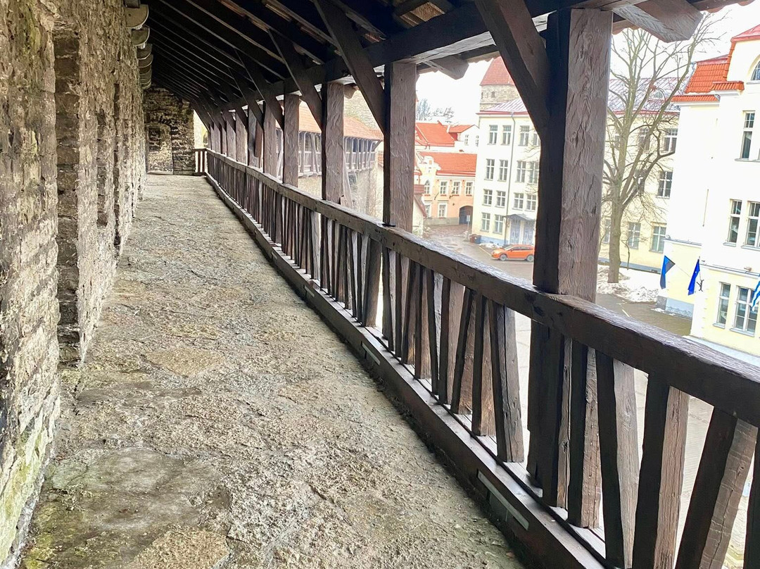 Kiek in de Kök Fortifications Museum-塔林必去景点