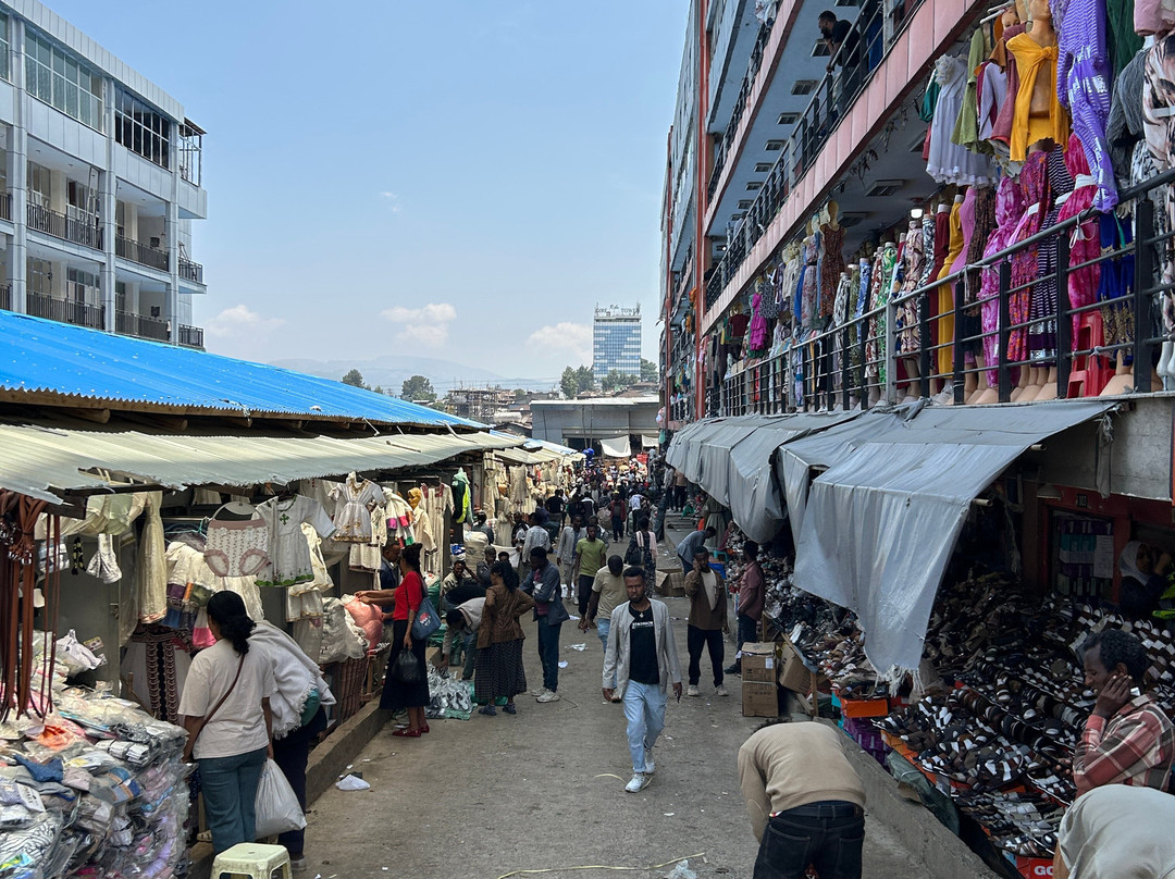 Vintage Ethiopia Tour And Travel-Jimma必去景点