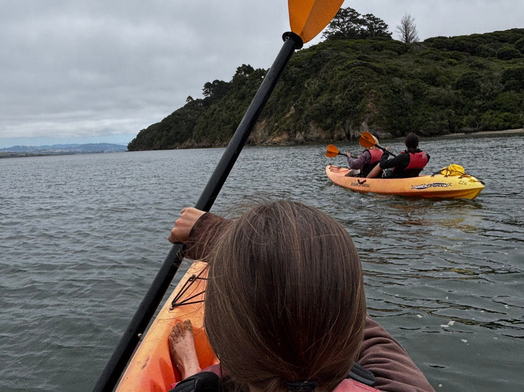 Blue Waters Kayaking-Point Reyes Station必去景点