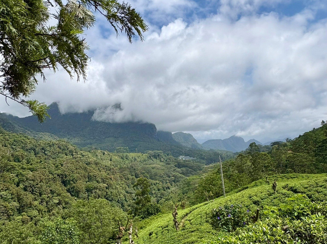 My Driver in Sri Lanka - Day Tours-Yatiyana必去景点
